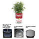 Barrelkings Campbell's Soup retro- industrieel 200 L plantenbak Barrelkings Campbell's Soup retro- industrieel 200 L plantenbak
