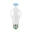 LED Birne mit Bewegungssensor - E27 Fassung - 12W ersetzt 100W - Lichtfarbe optional