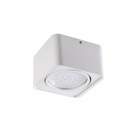 Kanlux LED AR111 Aufbauspot weiß viereckig - für 1 LED Spot Kanlux LED AR111 Aufbauspot weiß viereckig - für 1 LED Spot