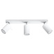 LED Deckenspot Weiß RING - 3 x GU10 Fassung - exkl. LED's LED Deckenspot Weiß RING - 3 x GU10 Fassung - exkl. LED's