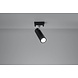 LED Deckenspot Schwarz Silber DIREZIONE - 1 x GU10 Fassung - exkl. LED's LED Deckenspot Schwarz Silber DIREZIONE - 1 x GU10 Fassung - exkl. LED's