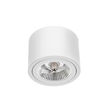 Spectrum LED Deckenspot - AR111 230V - Mattweiss - exkl. LED Spot