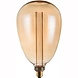 Freelight LED-Beleuchtung  LED Lampe E27 - 5W -  Gold - 17x30cm - 1800K - 3 Einstellungen