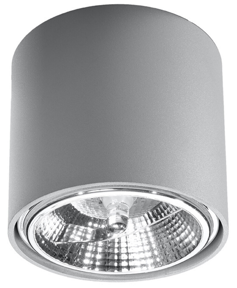Sollux Lighting Deckenspot TIUBE Grau - 1x GU10 / ES111 Fassung - max. 40W - exkl. LED's Sollux Lighting Deckenspot TIUBE Grau - 1x GU10 / ES111 Fassung - max. 40W - exkl. LED's
