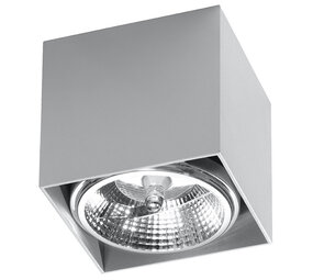 Sollux Lighting Deckenspot BLAKE Grau - 1x GU10 / ES111 Fassung - max. 40W - exkl. LED's