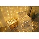 Smoking Acc. International Kft. Weihnachtsbeleuchtung Lichterkette - 10 Meter 100 LEDs - 2550K Warmweiß - 220V Adapter Smoking Acc. International Kft. Weihnachtsbeleuchtung Lichterkette - 10 Meter 100 LEDs - 2550K Warmweiß - 220V Adapter