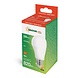 Modee Modee LED Globe A60 – 8,5 W – 806 lm – 2700 K warmweiß – EAN 5999570712794 Modee Modee LED Globe A60 – 8,5 W – 806 lm – 2700 K warmweiß – EAN 5999570712794