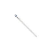 Philips | Offizieller Philips-Vertriebspartner MASTER LED T8 Conventional (EM), Mains (AC) High Output T8 7.6W 1150lm - 840 Kaltweiß | 60cm - Ersatz Für 18W