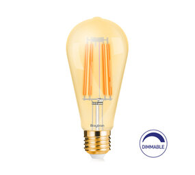Brayton LED Filament Lampe E27 ST64 6W 540Lm - 2200K Extra Warmweiß - Amber | Glas | Dimmbar