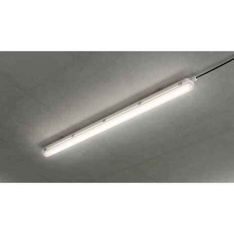 Philips | Offizieller Philips-Vertriebspartner LED Feuchtraumleuchte CoreLine WT120C Gen2 57W 8000lm - 840 Kaltweiß | 150cm