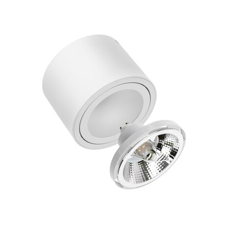Spectrum LED Deckenspot - AR111 230V - Mattweiss - exkl. LED Spot