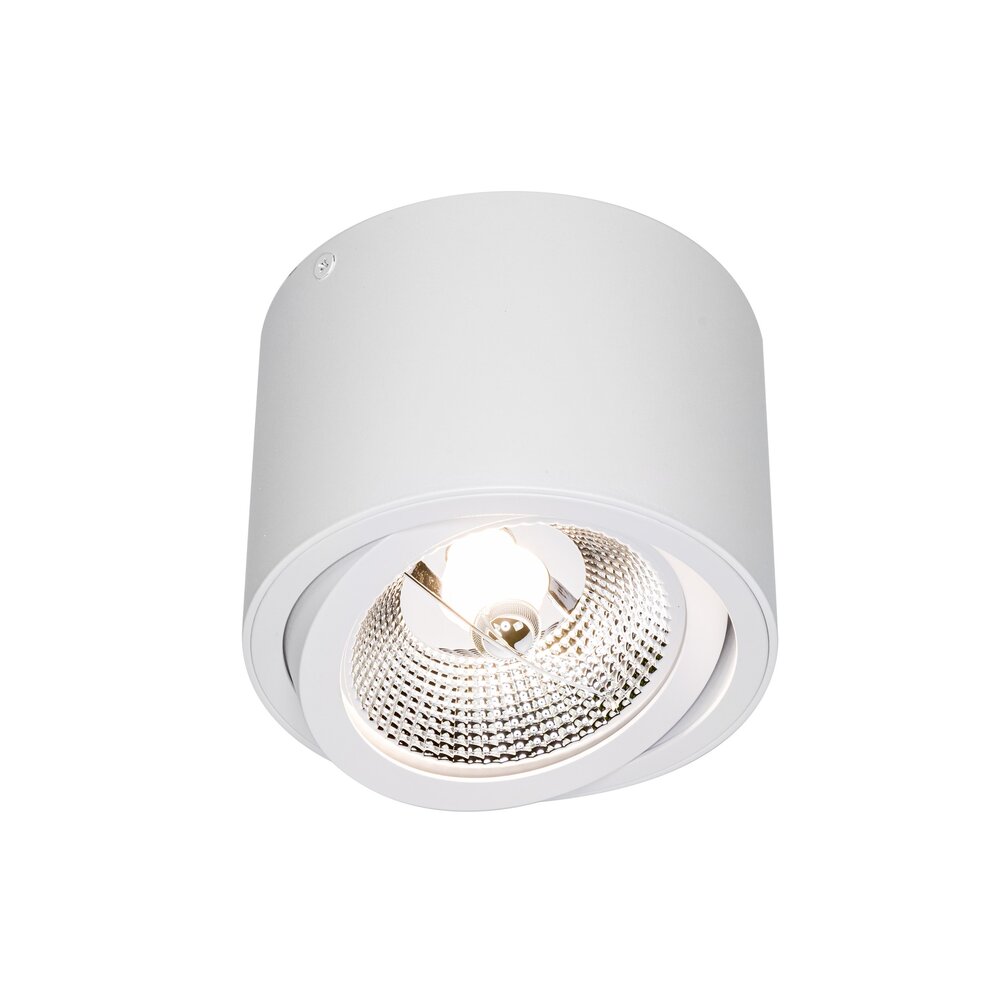 Spectrum LED Deckenspot - AR111 230V - Mattweiss - exkl. LED Spot