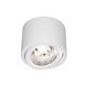 Spectrum LED Deckenspot - AR111 230V - Mattweiss - exkl. LED Spot