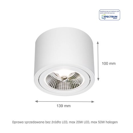 Spectrum LED Deckenspot - AR111 230V - Mattweiss - exkl. LED Spot