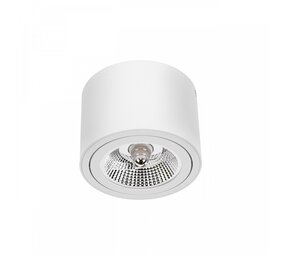 Spectrum LED Deckenspot - AR111 230V - Mattweiss - exkl. LED Spot