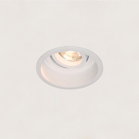 Artdelight REX Einbaustrahler GU10 schwenkbar - Aluminium Ø9,2 cm Farbe optional