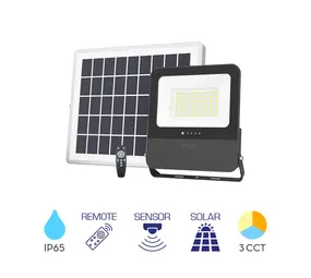 Brayton LED-Solarstrahler inkl. Sensor – 50 W, 1800 lm – Einstellbare Lichtfarbe – Schutzart IP65