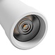 Spectrum LED 3-Phasen Stromschienenstrahler Pava Basic - 20W 2225lm Weiß 20-45° 3000-6000K CCT