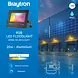 Brayton  LED Fluter 20W RGB IP65 Außenstrahler