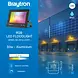 Brayton Braytron LED Fluter 30W RGB IP65 Außenstrahler