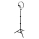 Ledvance - Dimmbare LED-Stehleuchte mit Gestell und Halterung für Vlogging LED/6W/USB 3000/4000/6500K