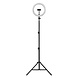 Ledvance - Dimmbare LED-Stehleuchte mit Gestell und Halterung für Vlogging LED/6W/USB 3000/4000/6500K