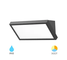 Brayton LED Außenwandleuchte 20W - 2000lm  CCT - IP65 Schwarz