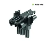 Wieland Electric Original Wieland GST18i3 T-Verteiler 3-polig – 1x Stecker auf 2x Buchsen | 92.030.3153.1 Wieland Electric Original Wieland GST18i3 T-Verteiler 3-polig – 1x Stecker auf 2x Buchsen | 92.030.3153.1
