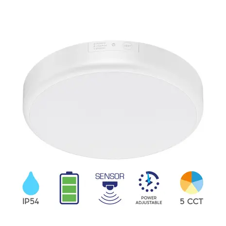 Brayton LED Buis T8 Superior EM/Mains Ultra Output 150cm 25W 4250Lm - 830 Warmweiß | Ersetzt 58W - 5 Jahre Garantie Brayton LED Buis T8 Superior EM/Mains Ultra Output 150cm 25W 4250Lm - 830 Warmweiß | Ersetzt 58W - 5 Jahre Garantie