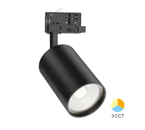 Brayton LED 3-Phasen Schienenstrahler 30W 2960Lm CCT Schwarz 3in1