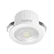 Brayton LED Mini Einbauspot 3W 260lm - CCT 3000K 4000K 6500K - Ø44mm IP54