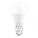 Spectrum LED Lampe GLS B22 - 10W 5CCT 230V