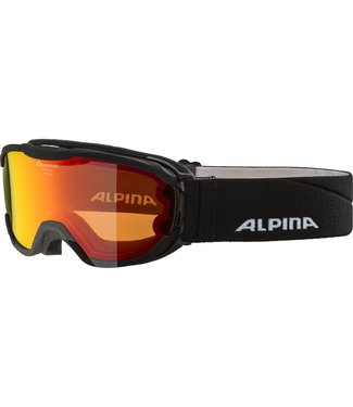 Alpina Kinder Skibrille PHEOS JR. Q-LITE black matt