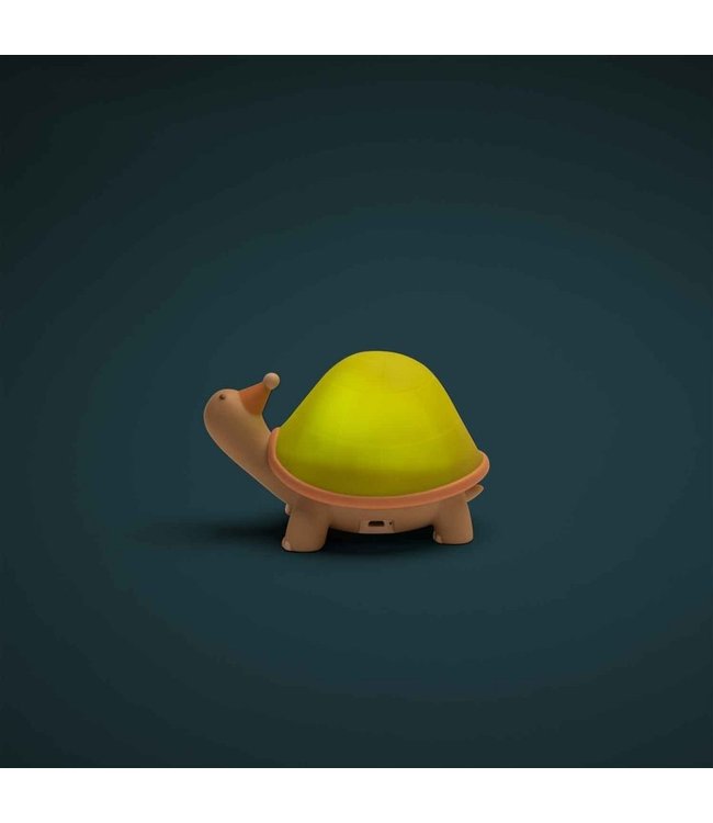 Moulin Roty Nachtlicht USB Schildkröte