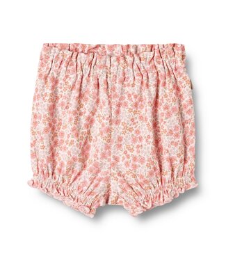 Wheat Baby Shorts Sonja