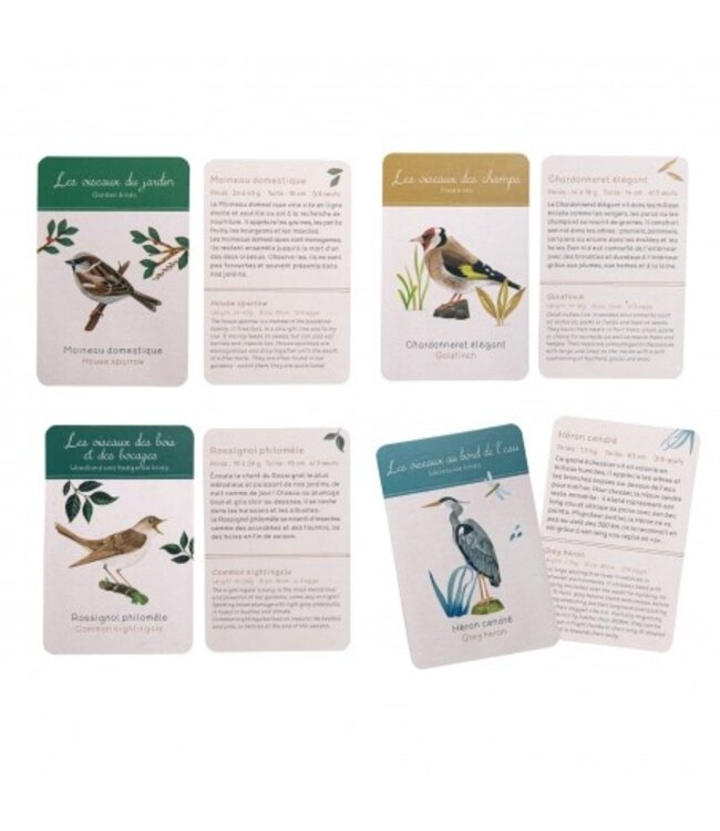 Moulin Roty Vogel Box