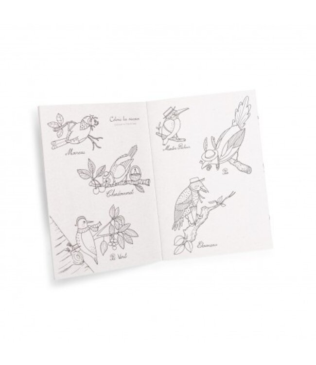 Moulin Roty Vogel Box