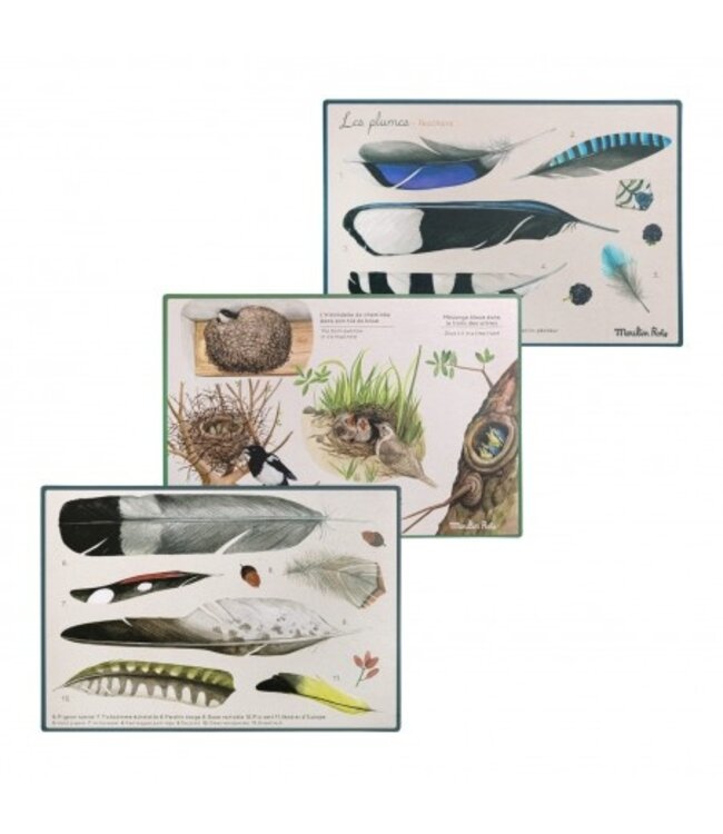 Moulin Roty Vogel Box