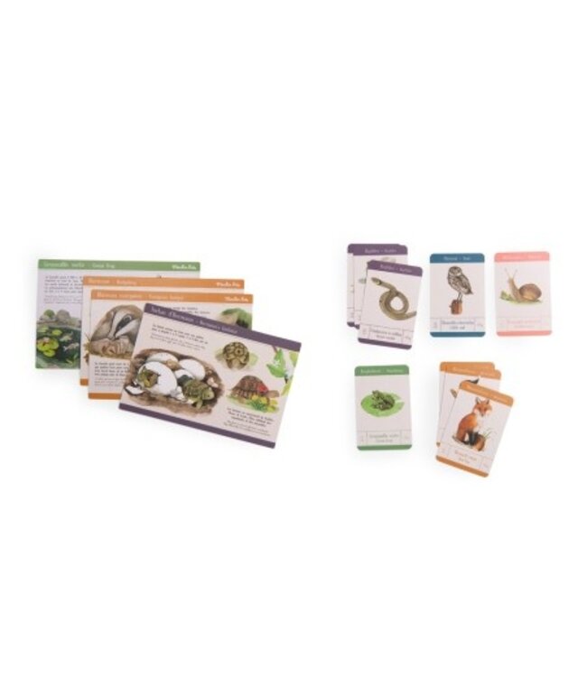 Moulin Roty  Entdeckungsset Tiere im Garten