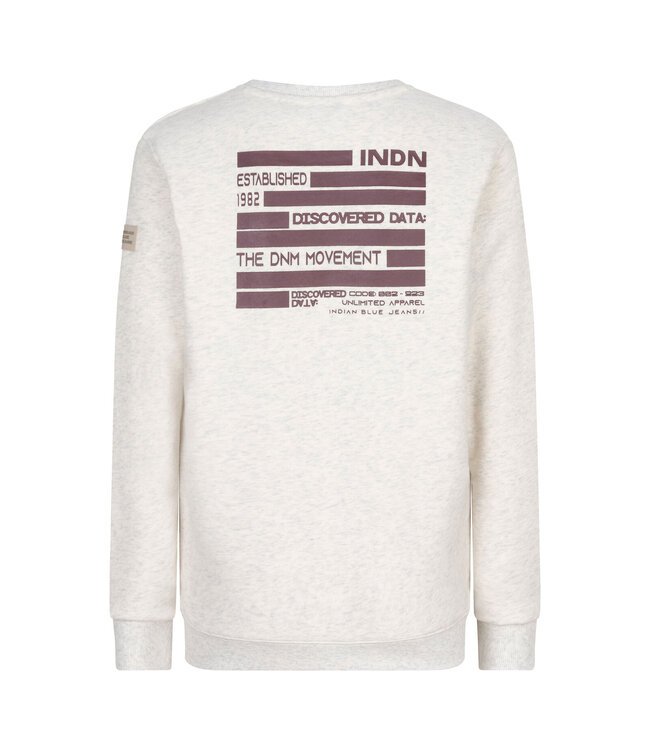 Indian Blue Jeans Jungen Pullover Backprint