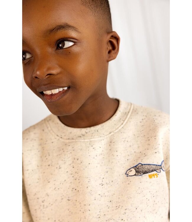 Noppies Jungen Pullover Headingly