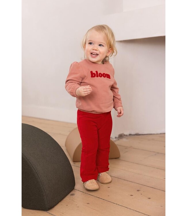 Noppies Baby Pullover Feurs