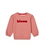 Noppies Baby Pullover Feurs