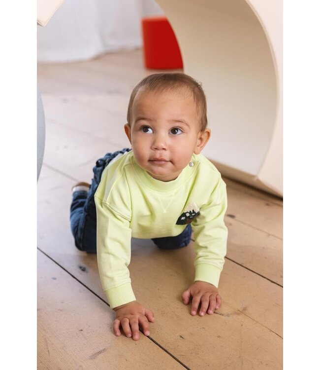 Noppies Baby Pullover Grasse