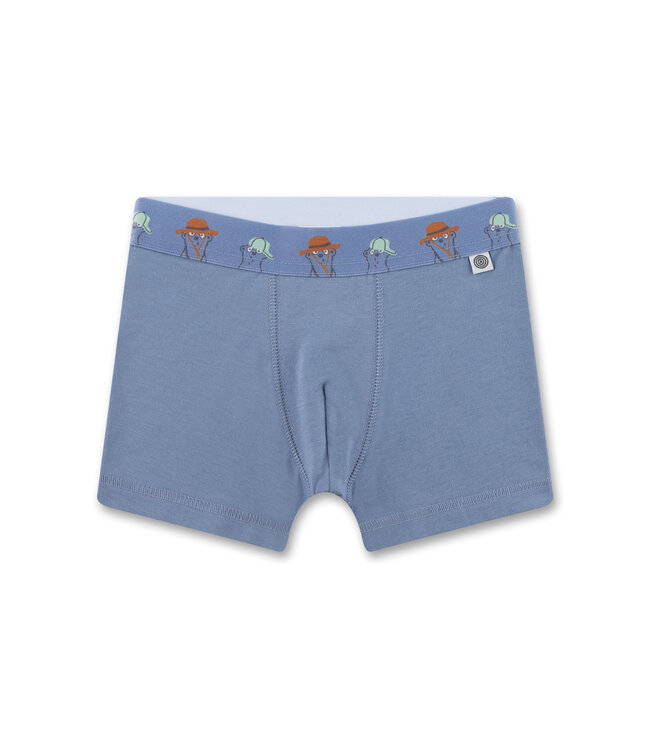 Sanetta Jungen-Shorts (Doppelpack) Erdmännchen