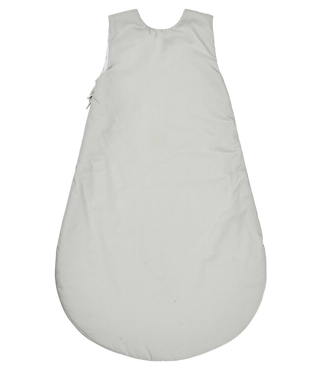 Sterntaler Babyschlafsack Motiv Dino Rexi 1,50 TOG