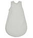 Sterntaler Babyschlafsack Motiv Dino Rexi 1,50 TOG