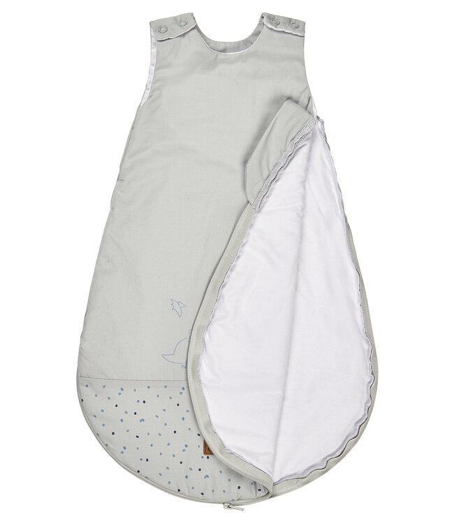 Sterntaler Babyschlafsack Motiv Dino Rexi 1,50 TOG