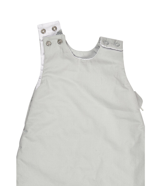 Sterntaler Babyschlafsack Motiv Dino Rexi 1,50 TOG