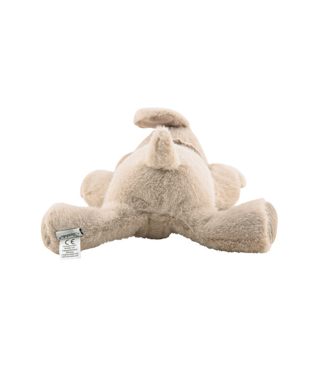 Sterntaler Einschlafhilfe Herzton Lucky